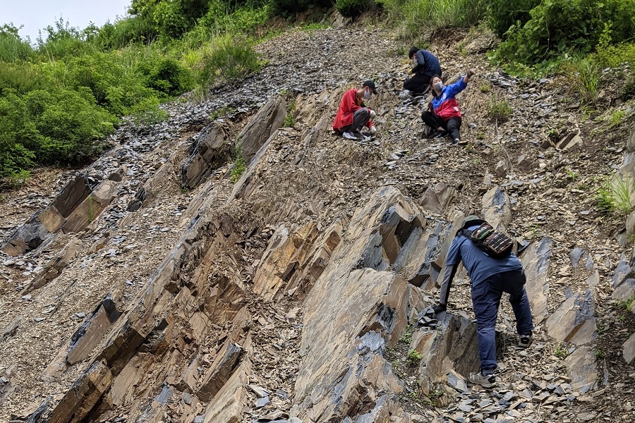 南三陸　化石発掘
